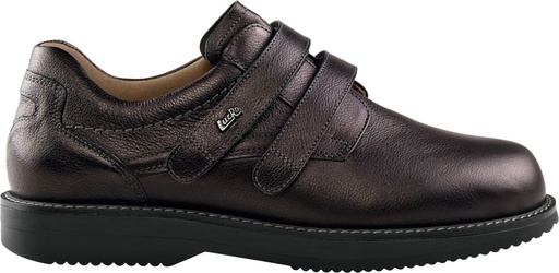 Walter (DVA Approved)