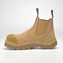 Boot 330d.jpg