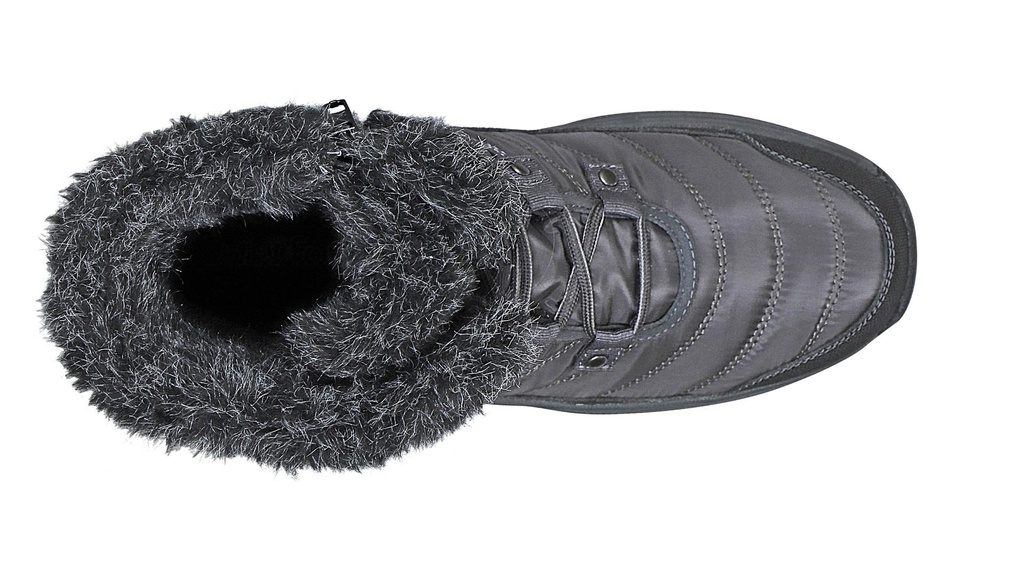 897_Alps_BirdsEye.jpg
